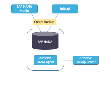 SAP HANA - принципиальная схема резервного копирования